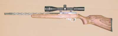 Customised 10/22.